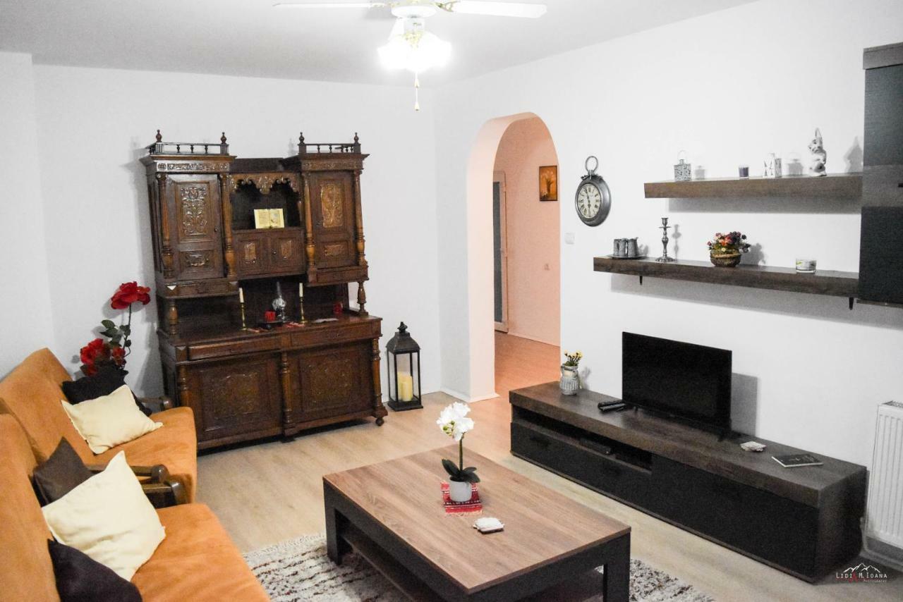 Spacious And Cozy 3Bd+Terrace Couples Apartment Timisoara Bagian luar foto