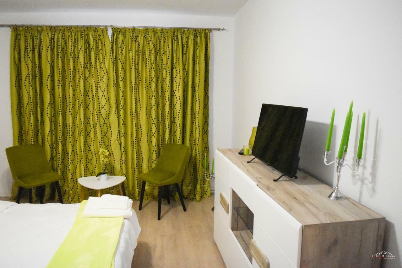Spacious And Cozy 3Bd+Terrace Couples Apartment Timisoara Bagian luar foto