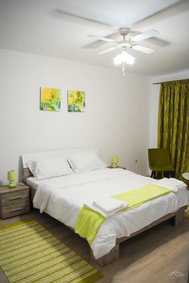 Spacious And Cozy 3Bd+Terrace Couples Apartment Timisoara Bagian luar foto