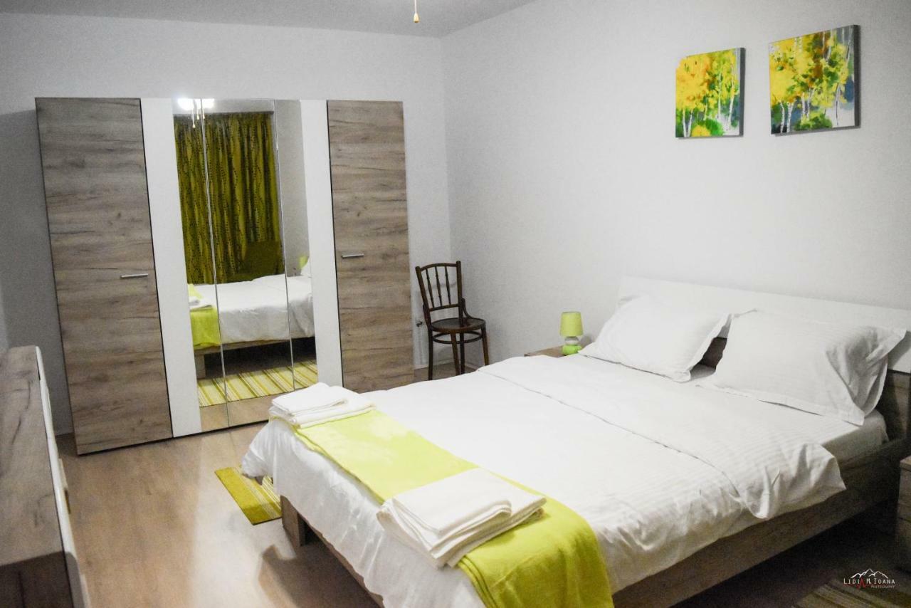 Spacious And Cozy 3Bd+Terrace Couples Apartment Timisoara Bagian luar foto