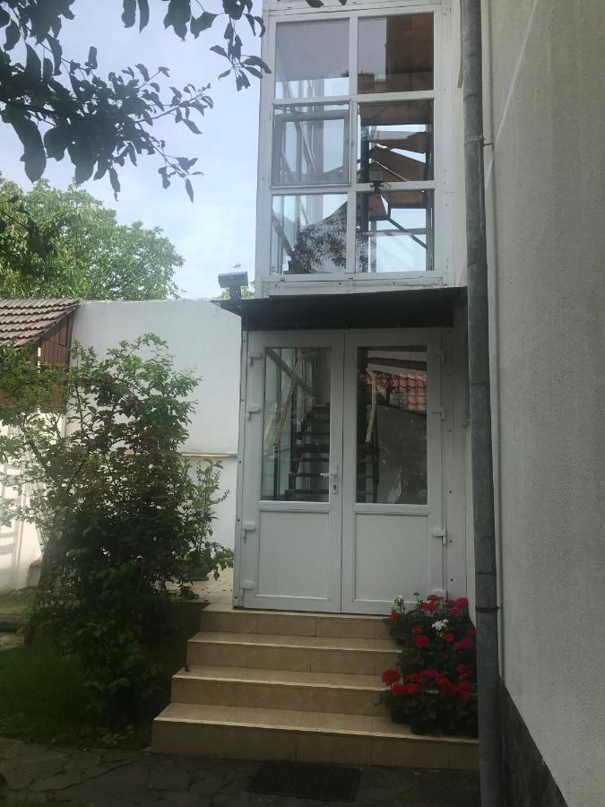 Spacious And Cozy 3Bd+Terrace Couples Apartment Timisoara Bagian luar foto
