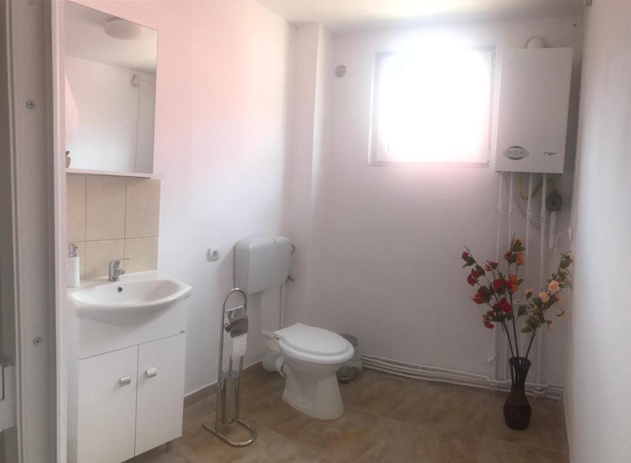 Spacious And Cozy 3Bd+Terrace Couples Apartment Timisoara Bagian luar foto